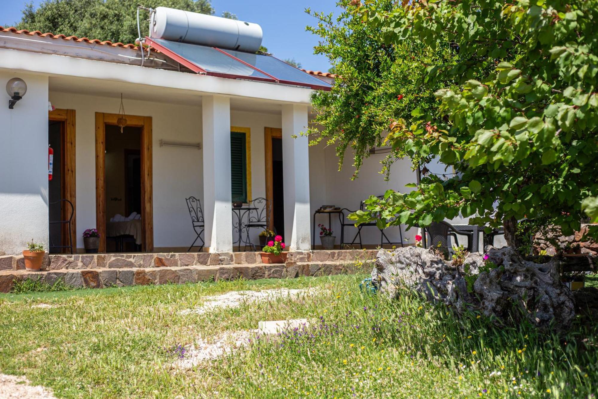 Agriturismo Paulesa Доргали Екстериор снимка